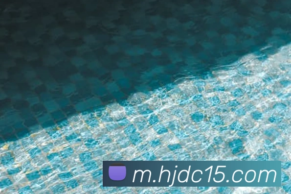 App Interface Preview